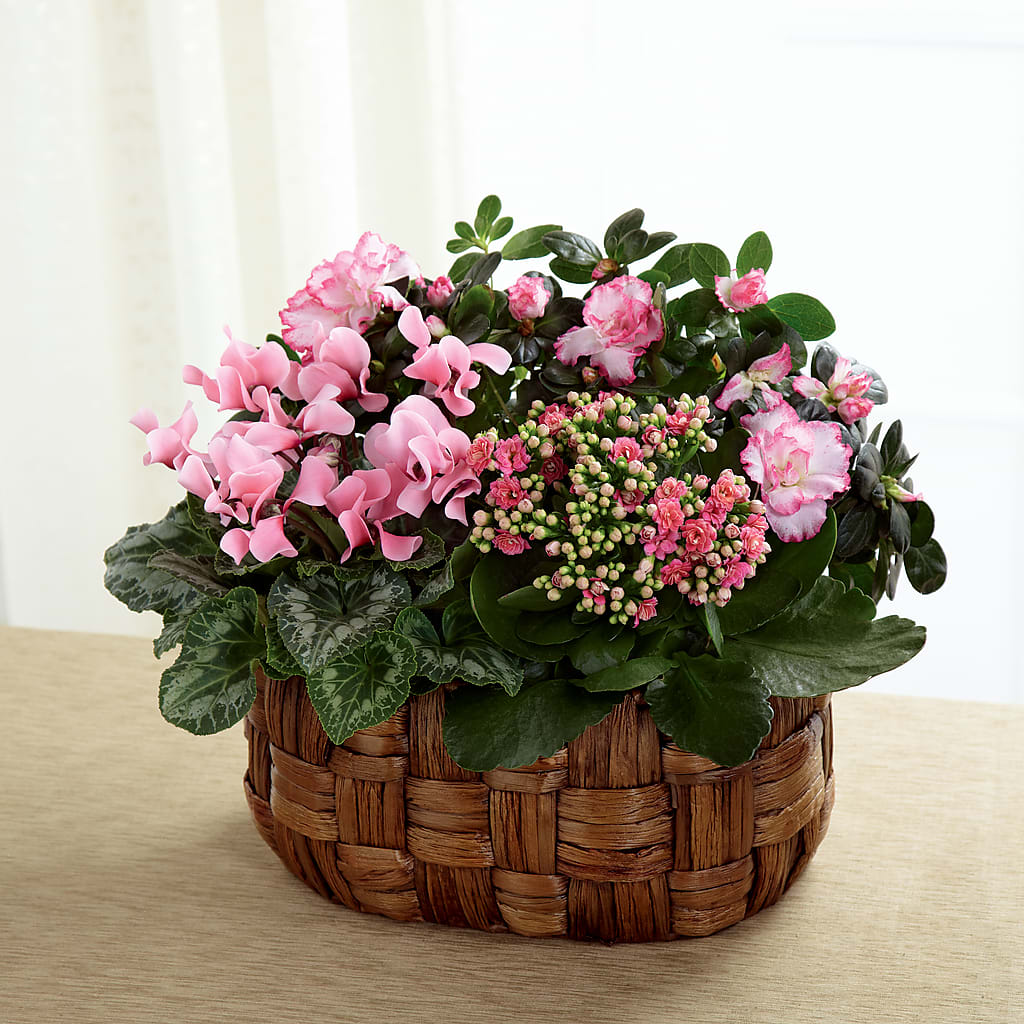 Pink Assortment – TAMMIE'S COUNTRY FLORIST, Hurlock MD