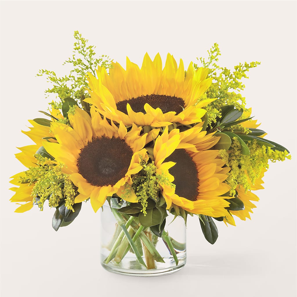 Beaming Sunflower Bouquet – TAMMIE'S COUNTRY FLORIST, Hurlock MD