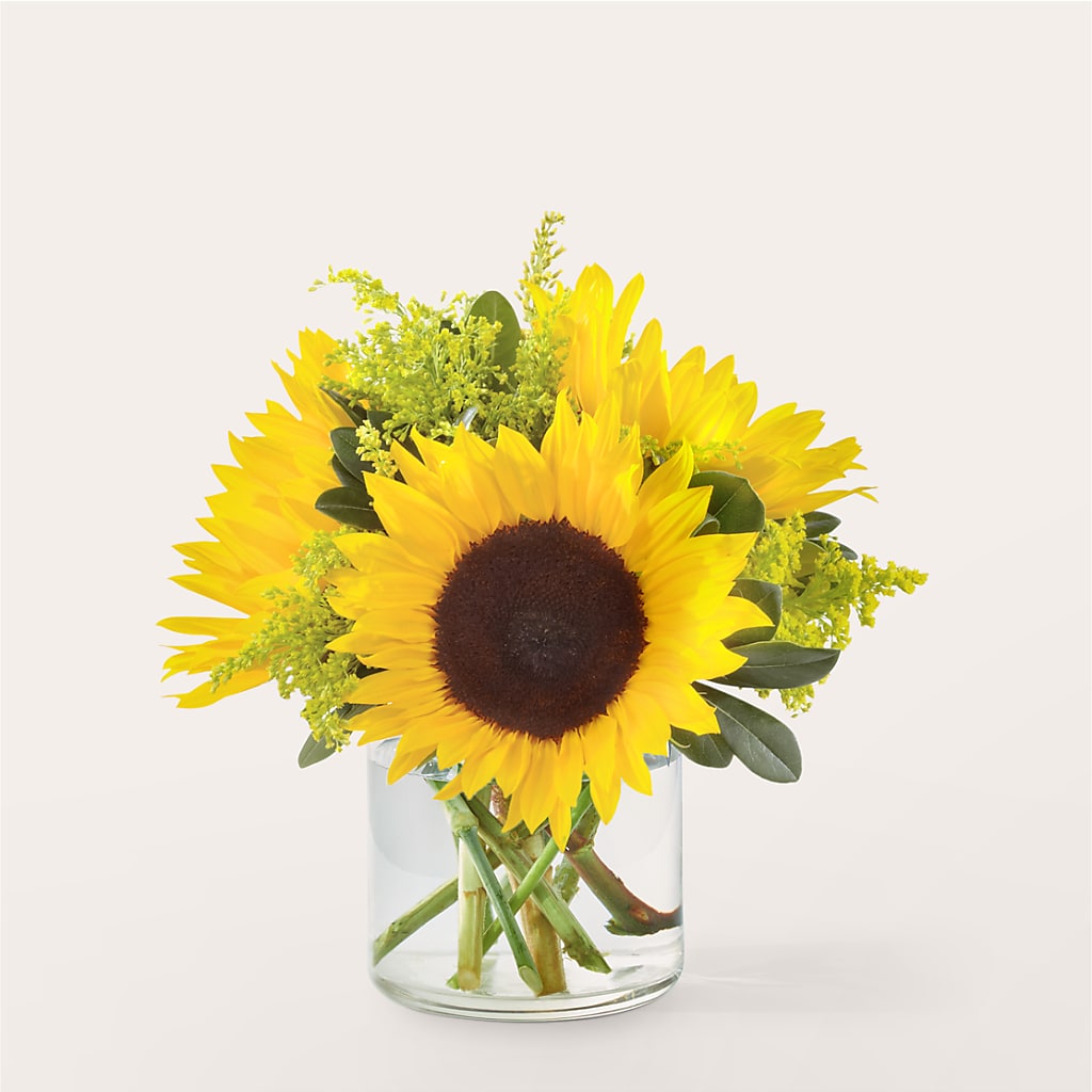 Beaming Sunflower Bouquet – TAMMIE'S COUNTRY FLORIST, Hurlock MD