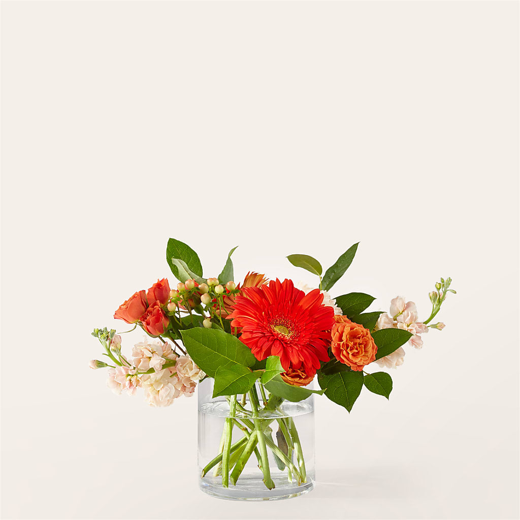 Paloma Please Bouquet – TAMMIE'S COUNTRY FLORIST, Hurlock MD