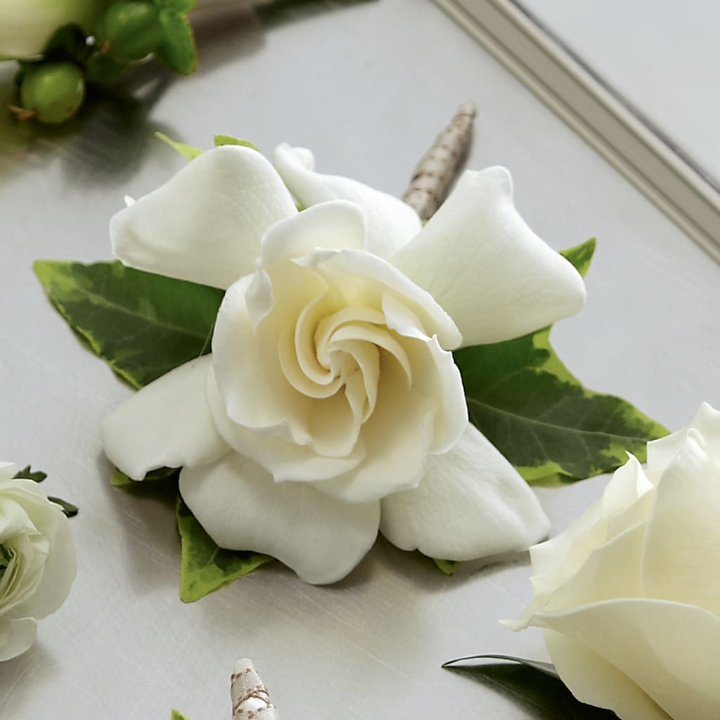 Gardenia Boutonniere – TAMMIE'S COUNTRY FLORIST, Hurlock MD