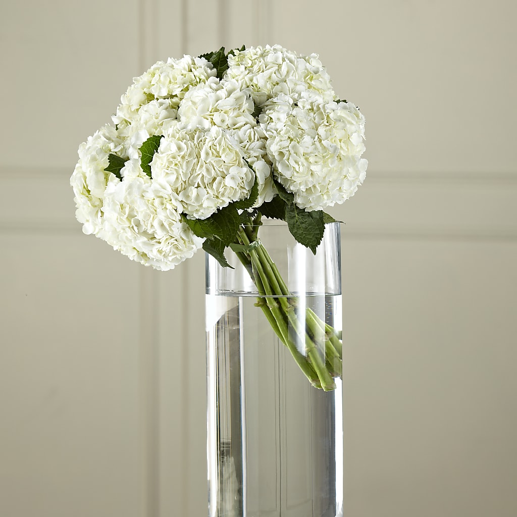 White Hydrangea Hand-Tied Bouquet – TAMMIE'S COUNTRY FLORIST, Hurlock MD
