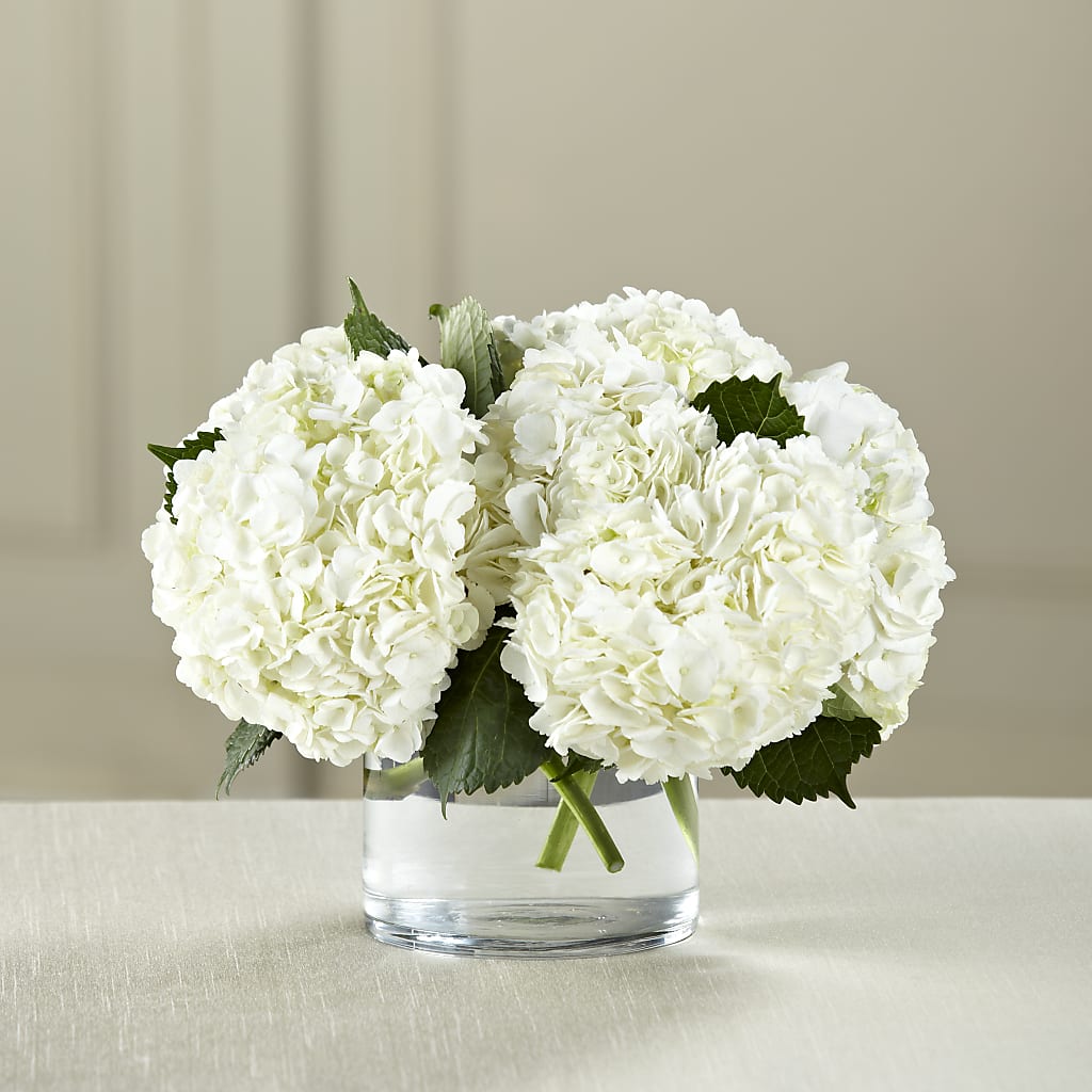 White Hydrangea Bouquet – TAMMIE'S COUNTRY FLORIST, Hurlock MD