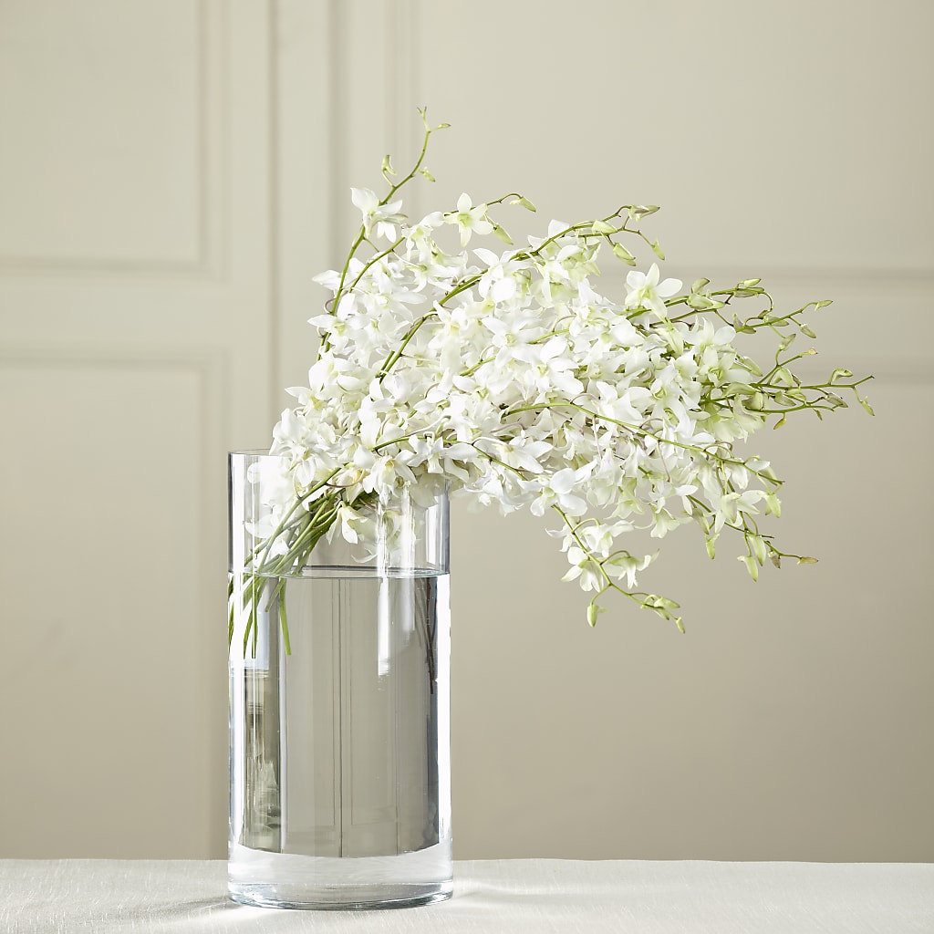 White Dendrobium Bouquet – TAMMIE'S COUNTRY FLORIST, Hurlock MD