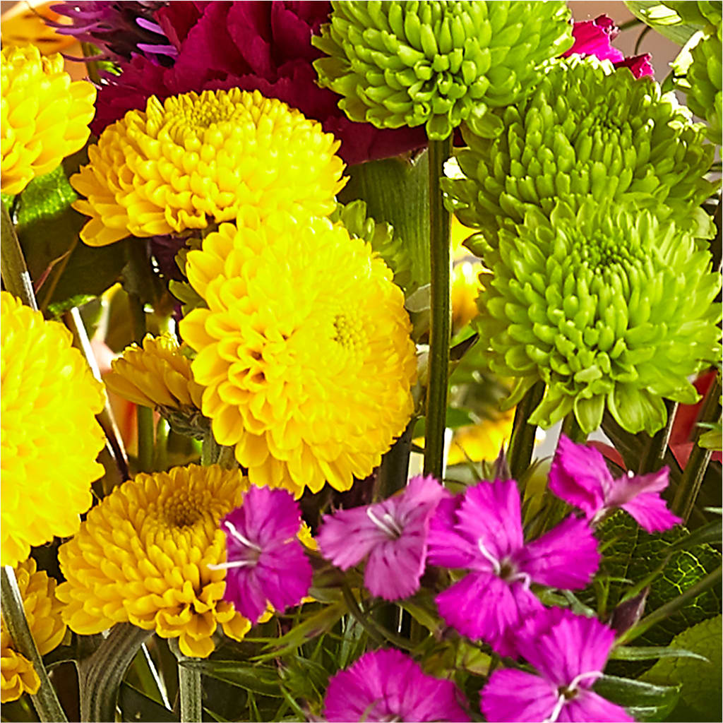 Bold & Bright – A Florist Original – TAMMIE'S COUNTRY FLORIST, Hurlock MD