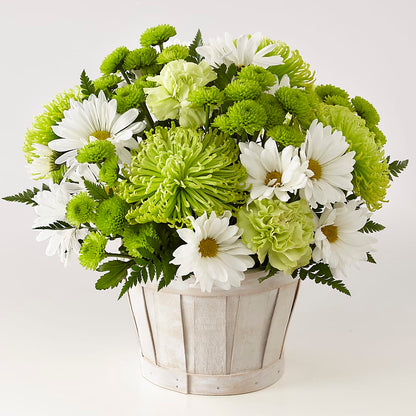 Lucky Charm Basket (Standard) – TAMMIE'S COUNTRY FLORIST, Hurlock MD