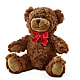 Adorable Plush Bear – TAMMIE'S COUNTRY FLORIST, Hurlock MD