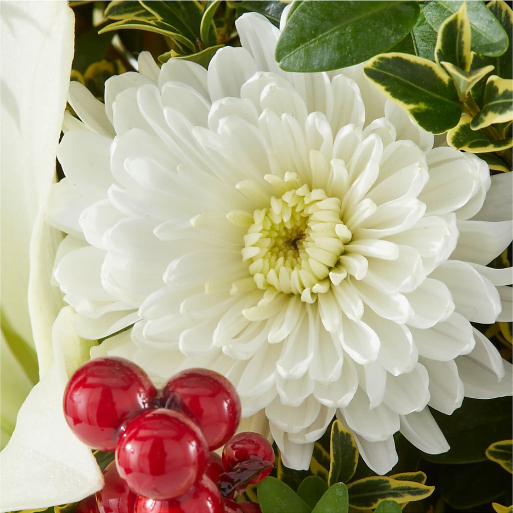 Festive Moments Tree – TAMMIE'S COUNTRY FLORIST, Hurlock MD