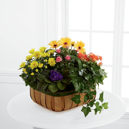 Gentle Blossoms Basket – TAMMIE'S COUNTRY FLORIST, Hurlock MD