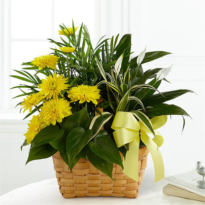 Loving Light Dishgarden – TAMMIE'S COUNTRY FLORIST, Hurlock MD