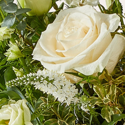 Cashmere Bouquet – TAMMIE'S COUNTRY FLORIST, Hurlock MD