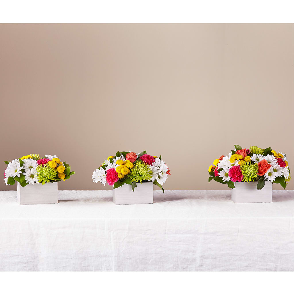 Sorbet Bouquet – TAMMIE'S COUNTRY FLORIST, Hurlock MD
