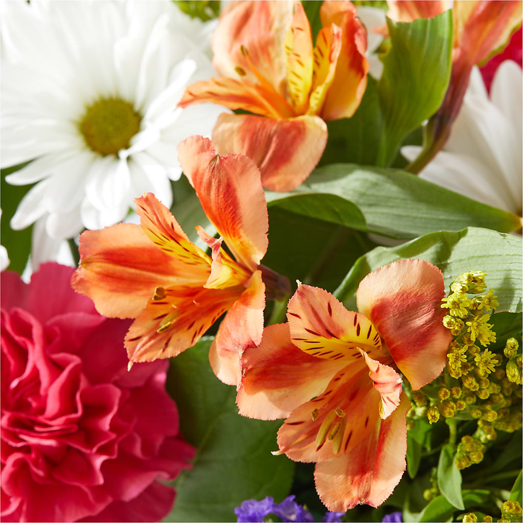 Oopsie Daisy Box Bouquet – TAMMIE'S COUNTRY FLORIST, Hurlock MD