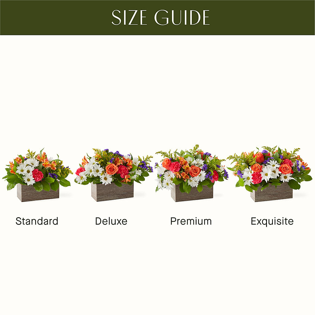 Oopsie Daisy Box Bouquet – TAMMIE'S COUNTRY FLORIST, Hurlock MD