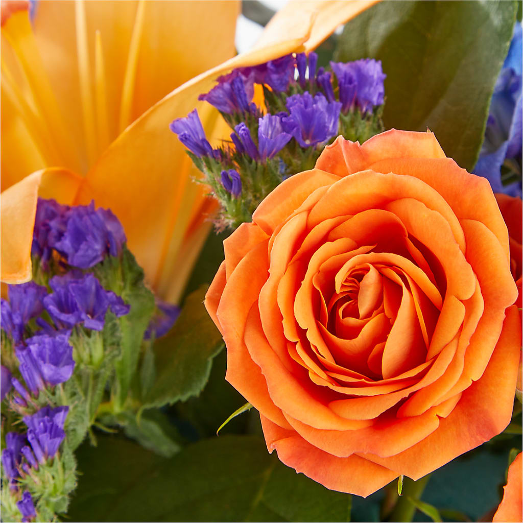 Radiant Citrus Box Bouquet – TAMMIE'S COUNTRY FLORIST, Hurlock MD