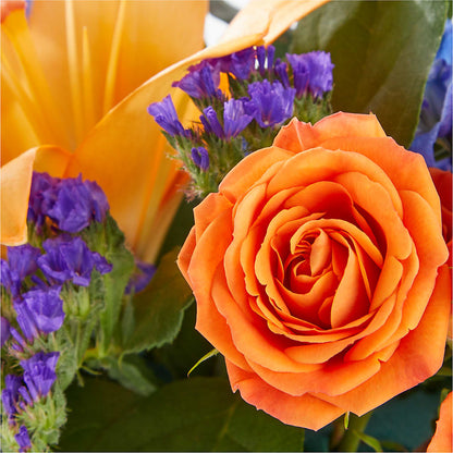 Radiant Citrus Box Bouquet – TAMMIE'S COUNTRY FLORIST, Hurlock MD