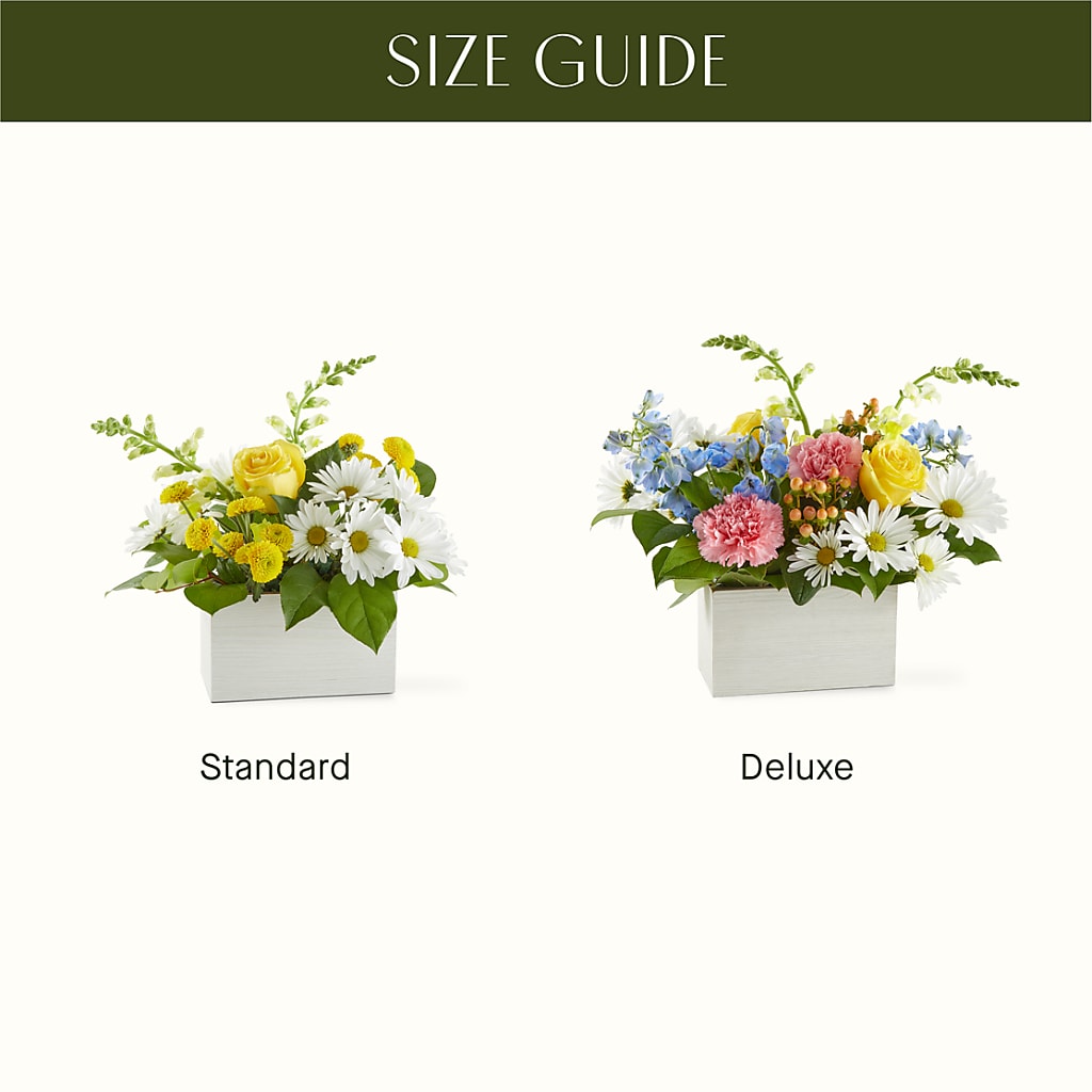 Sun Salutation Box Bouquet – TAMMIE'S COUNTRY FLORIST, Hurlock MD