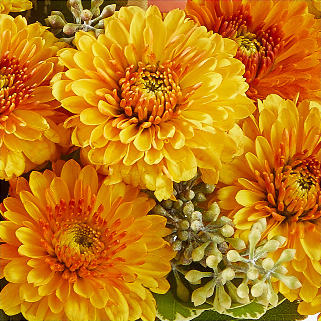 Peachy Pumpkin – TAMMIE'S COUNTRY FLORIST, Hurlock MD