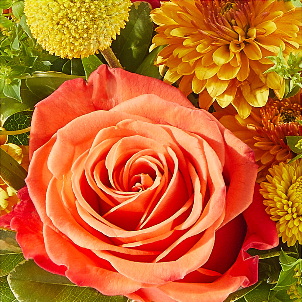Gourdgeous Pumpkin – TAMMIE'S COUNTRY FLORIST, Hurlock MD