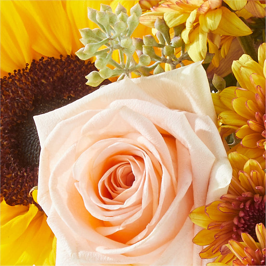 Pumpkin to Talk About Bouquet – TAMMIE'S COUNTRY FLORIST, Hurlock MD