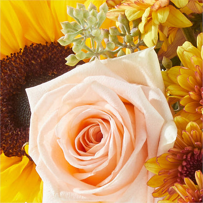 Pumpkin to Talk About Bouquet – TAMMIE'S COUNTRY FLORIST, Hurlock MD