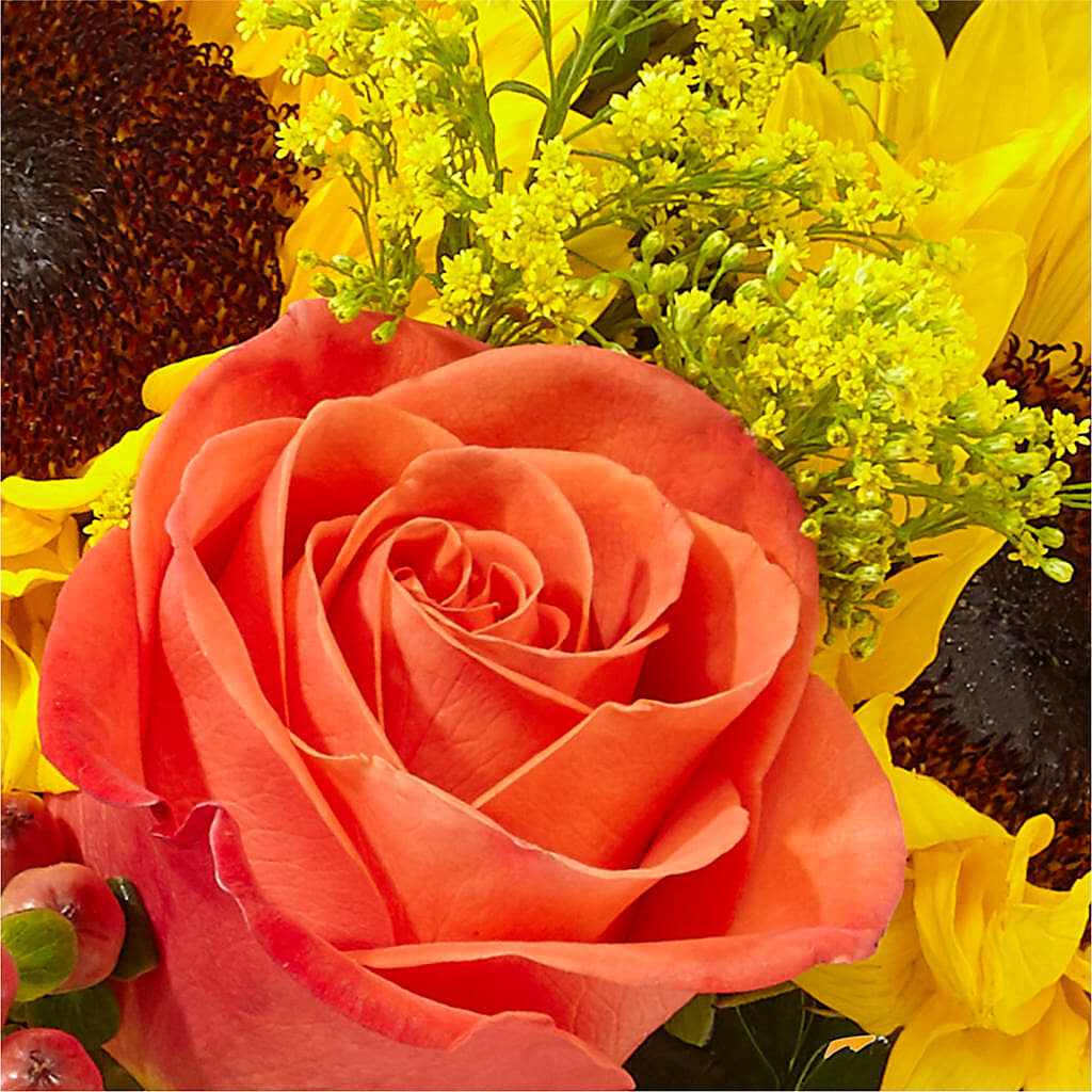 Pick of the Patch Pumpkin Bouquet – TAMMIE'S COUNTRY FLORIST, Hurlock MD