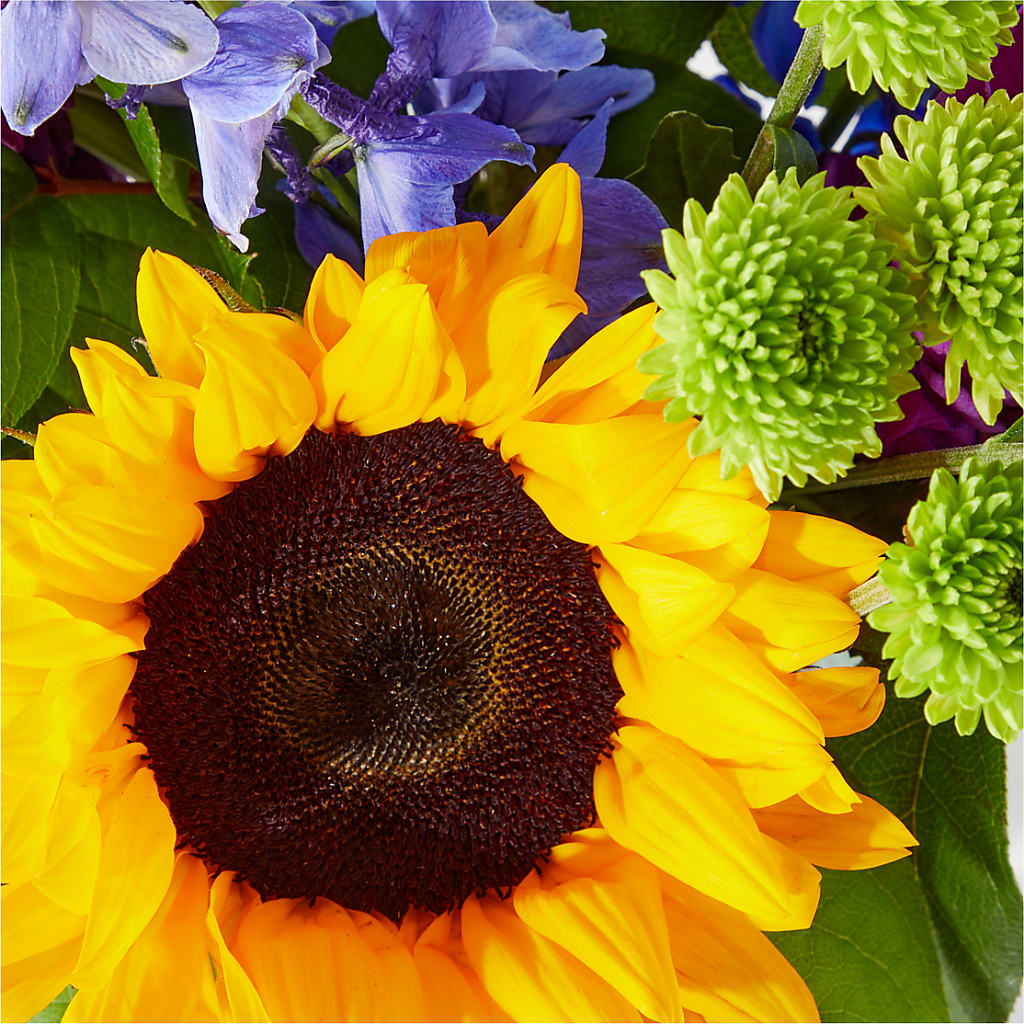 Catching Rays Bouquet – TAMMIE'S COUNTRY FLORIST, Hurlock MD