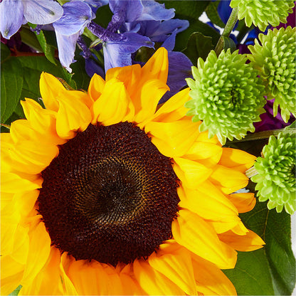 Catching Rays Bouquet – TAMMIE'S COUNTRY FLORIST, Hurlock MD
