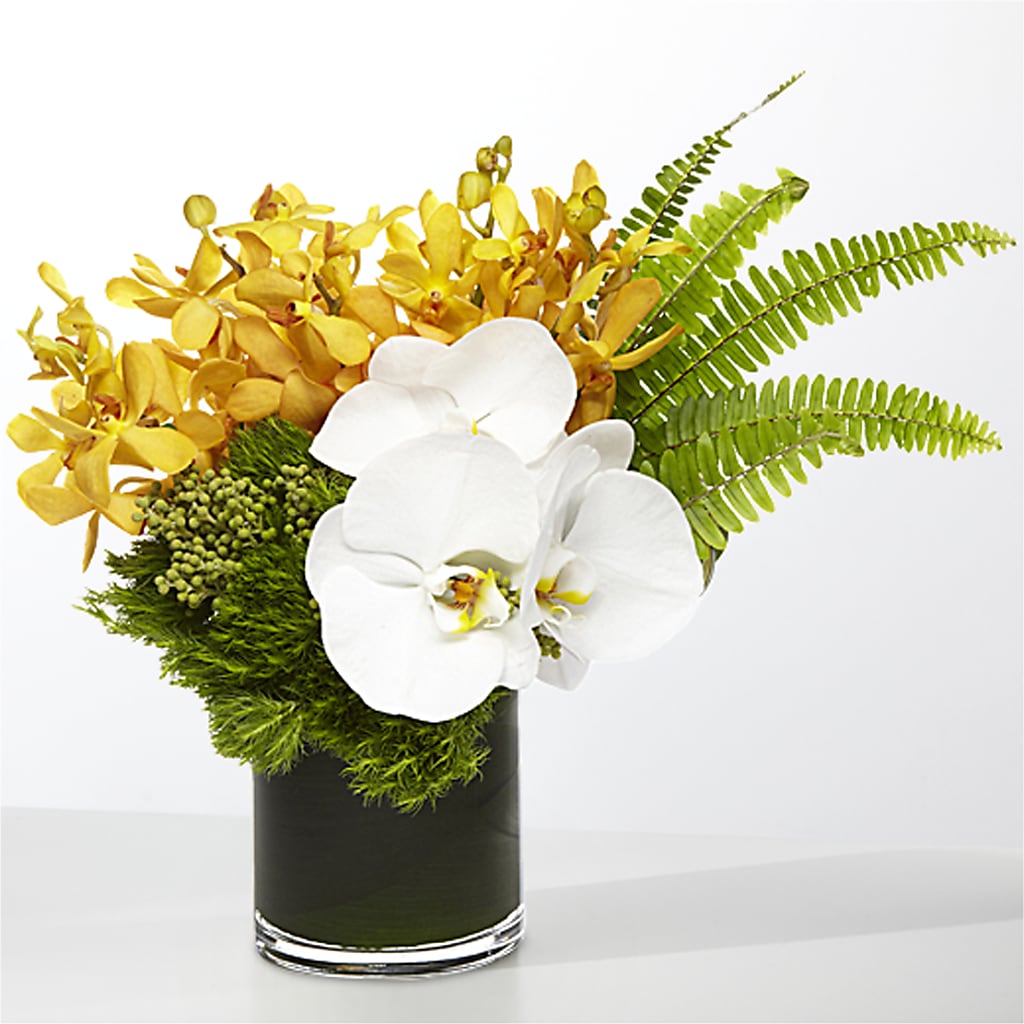 The Tropics – TAMMIE'S COUNTRY FLORIST, Hurlock MD