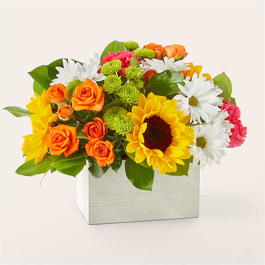 Sun-drenched Blooms Box Bouquet – TAMMIE'S COUNTRY FLORIST, Hurlock MD