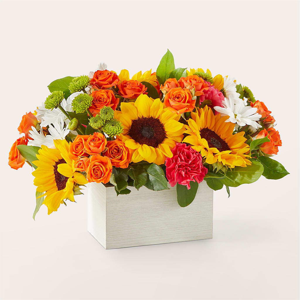Sun-drenched Blooms Box Bouquet – TAMMIE'S COUNTRY FLORIST, Hurlock MD