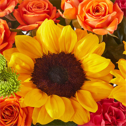 Sun-drenched Blooms Box Bouquet – TAMMIE'S COUNTRY FLORIST, Hurlock MD