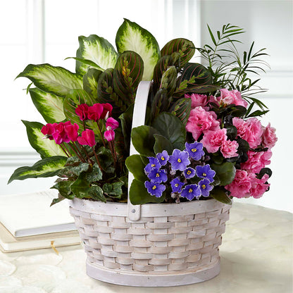 Peaceful Garden Planter – TAMMIE'S COUNTRY FLORIST, Hurlock MD