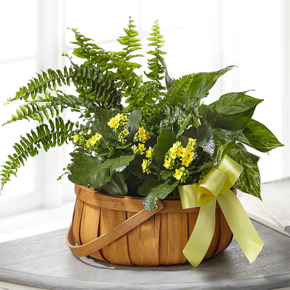 Always Dear Dishgarden – TAMMIE'S COUNTRY FLORIST, Hurlock MD