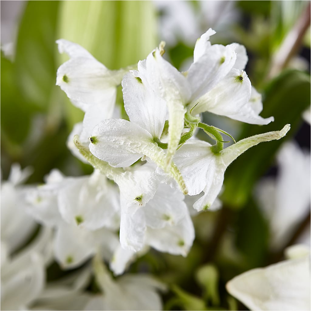 Classic Ivory – A Florist Original – TAMMIE'S COUNTRY FLORIST, Hurlock MD