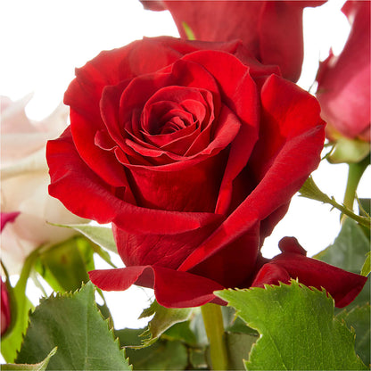 Love Notes Rose Bouquet – TAMMIE'S COUNTRY FLORIST, Hurlock MD