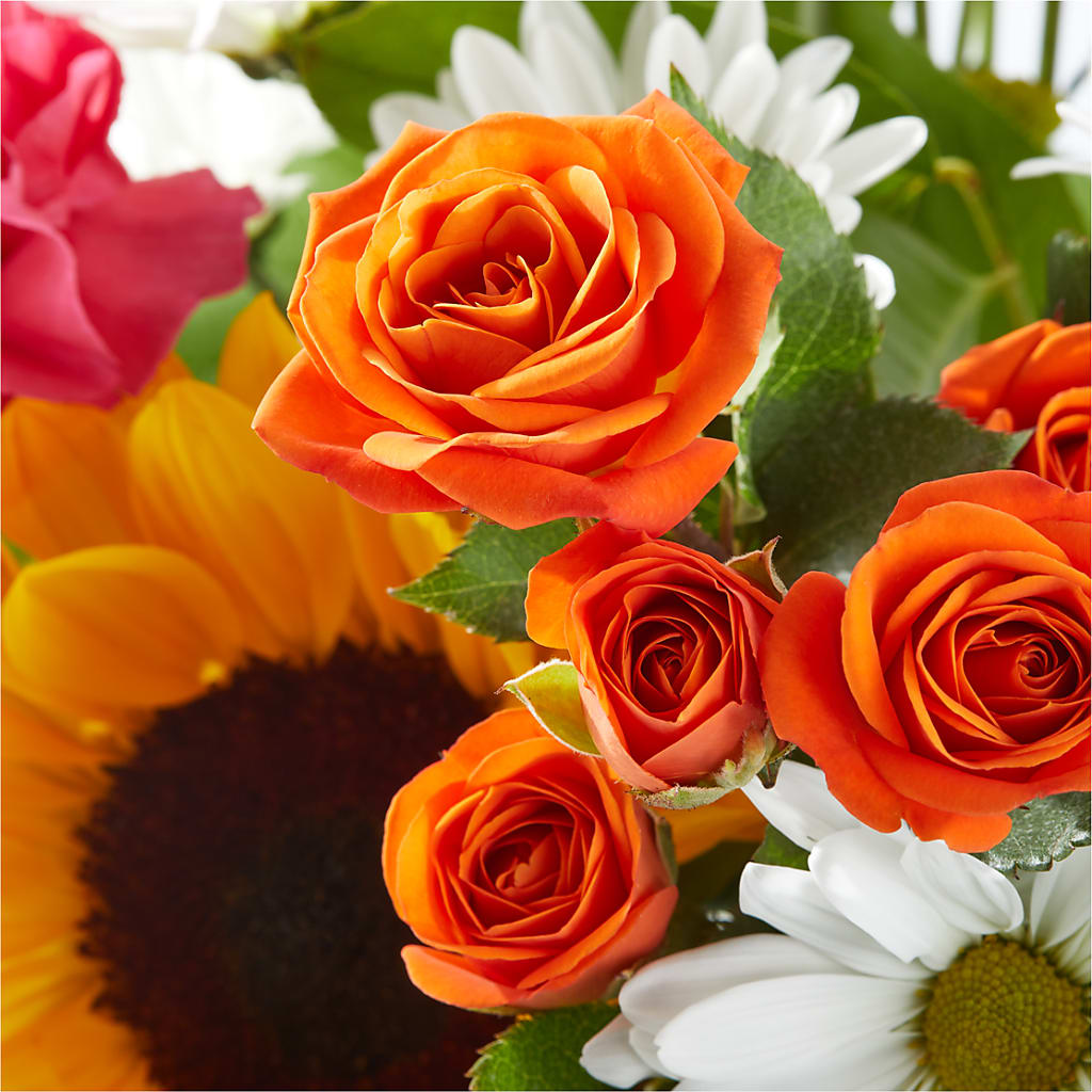Sun-drenched Blooms Bouquet – TAMMIE'S COUNTRY FLORIST, Hurlock MD