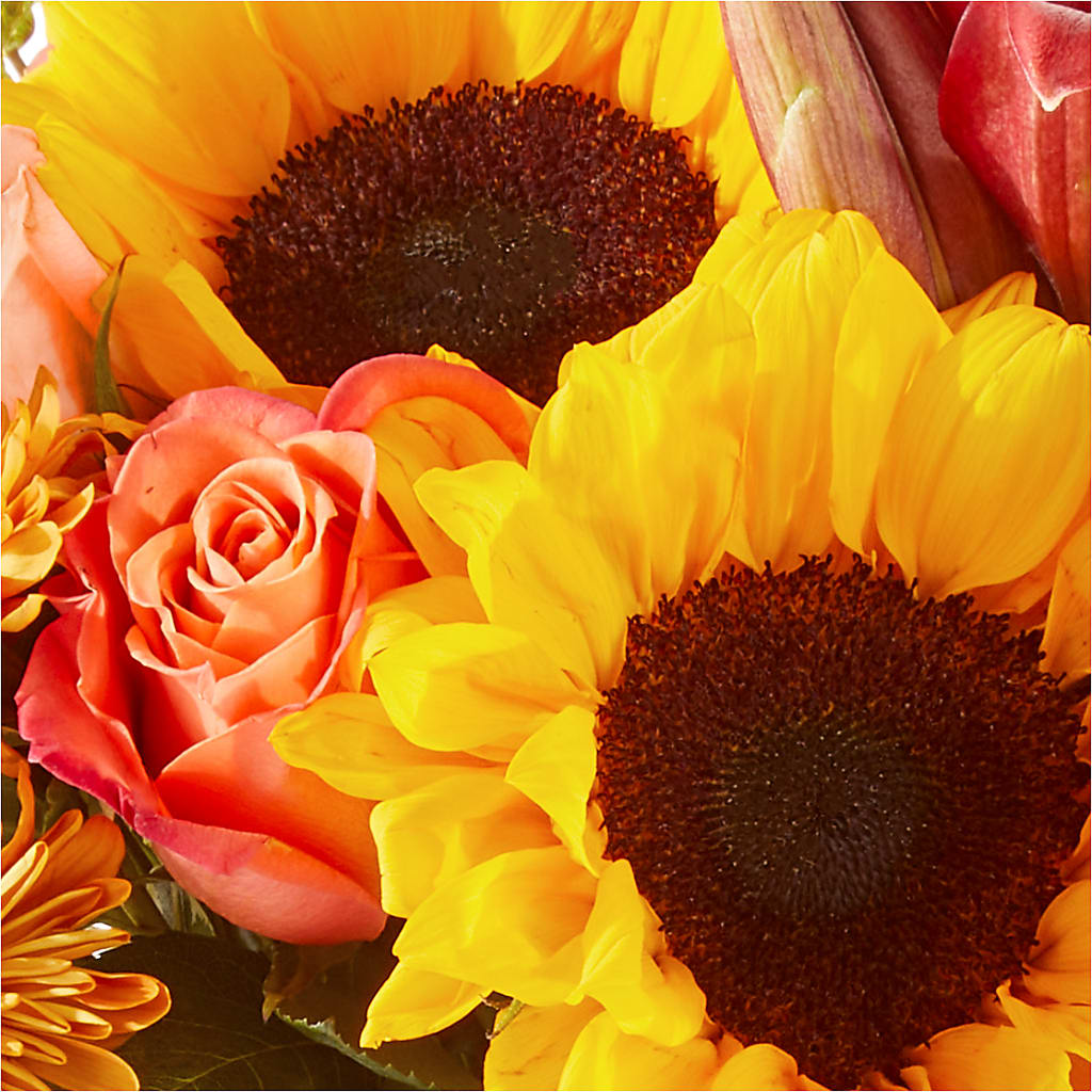 Acorn Lane Bouquet – TAMMIE'S COUNTRY FLORIST, Hurlock MD
