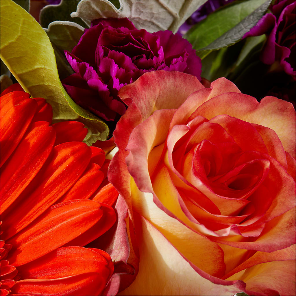 Sangria Bouquet – TAMMIE'S COUNTRY FLORIST, Hurlock MD