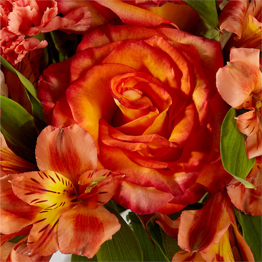 Apricot Glow Bouquet – TAMMIE'S COUNTRY FLORIST, Hurlock MD