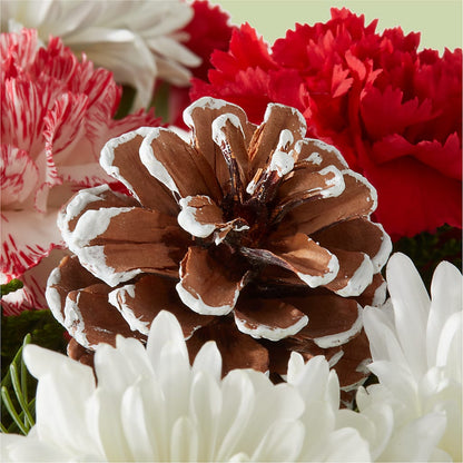 Candy Cane Lane Bouquet – TAMMIE'S COUNTRY FLORIST, Hurlock MD