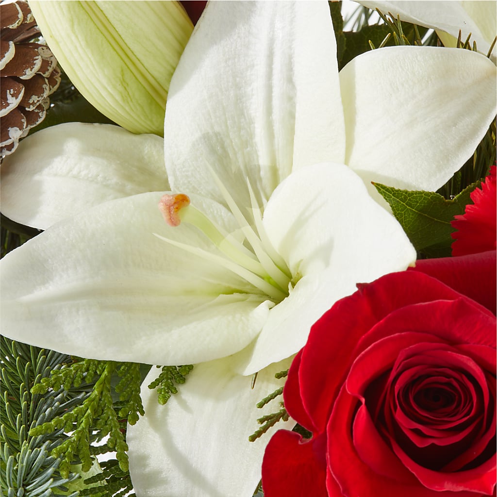 Oh So Jolly Bouquet – TAMMIE'S COUNTRY FLORIST, Hurlock MD
