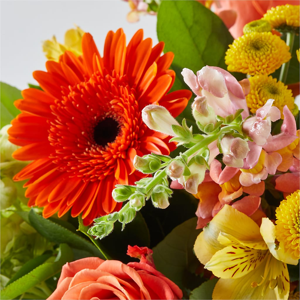 Autumn Sunshine Bouquet – TAMMIE'S COUNTRY FLORIST, Hurlock MD