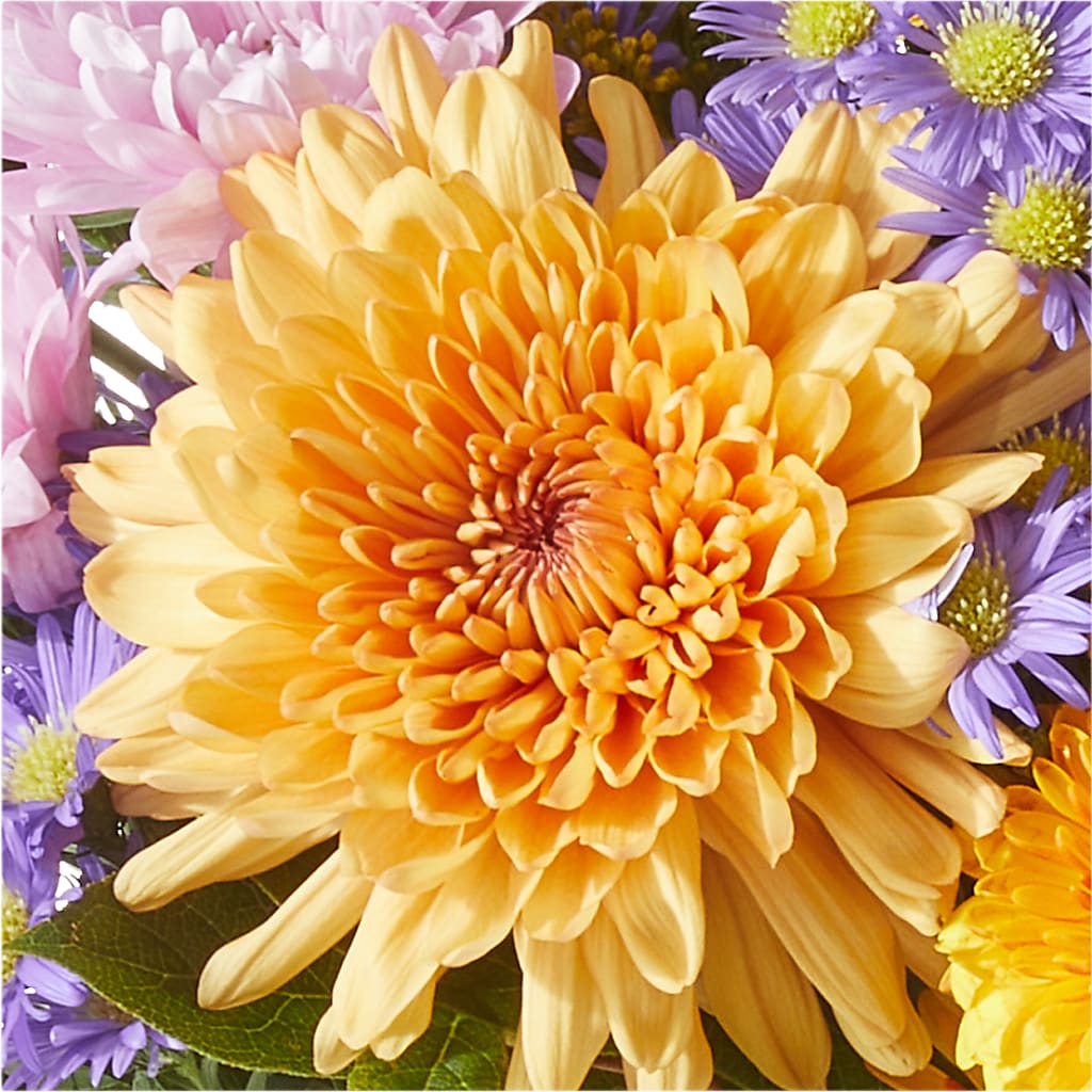Countryside Bouquet – TAMMIE'S COUNTRY FLORIST, Hurlock MD