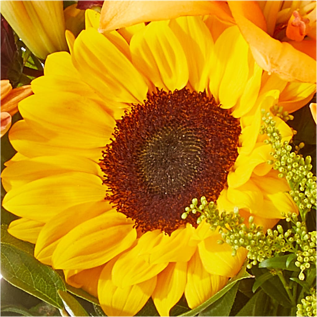 Seasons Change Bouquet – TAMMIE'S COUNTRY FLORIST, Hurlock MD