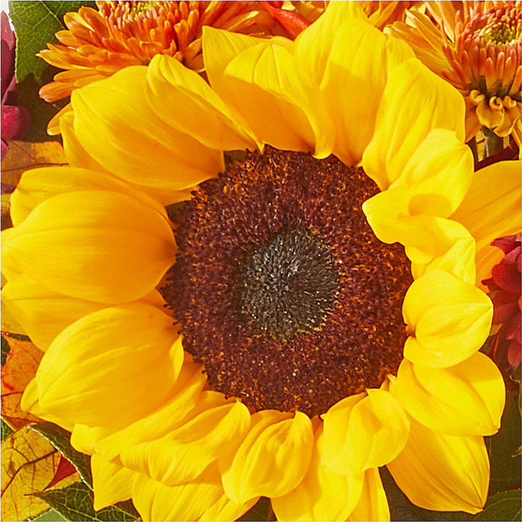 Sunny Side Bouquet – TAMMIE'S COUNTRY FLORIST, Hurlock MD
