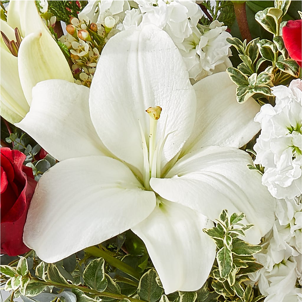 Twinkle Lights Bouquet – TAMMIE'S COUNTRY FLORIST, Hurlock MD