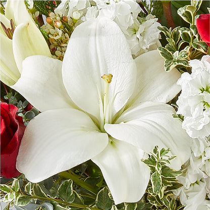 Twinkle Lights Bouquet – TAMMIE'S COUNTRY FLORIST, Hurlock MD