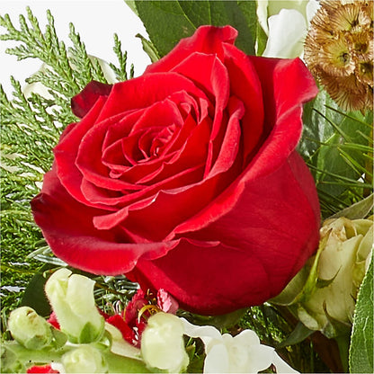 Deck the Halls Bouquet – TAMMIE'S COUNTRY FLORIST, Hurlock MD