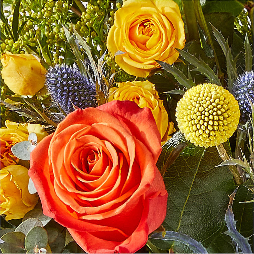 Disco Bouquet – TAMMIE'S COUNTRY FLORIST, Hurlock MD
